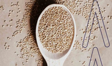 Focus On Food – Quinoa (1)
